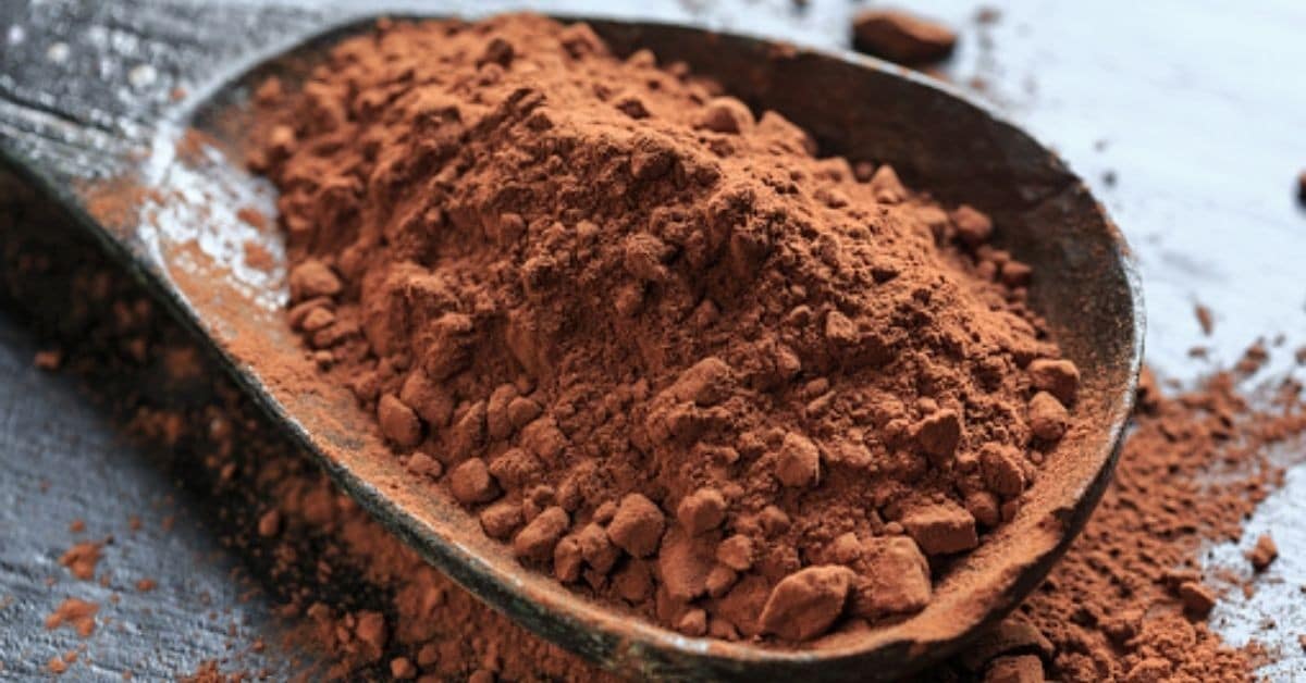 Cómo elegir el mejor cacao en polvo ️【Guía de Compra 2024】